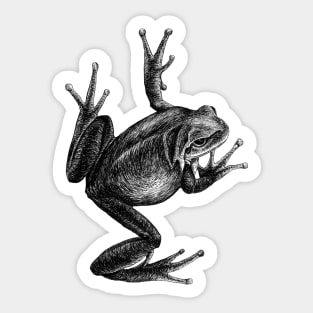 Frog Sticker